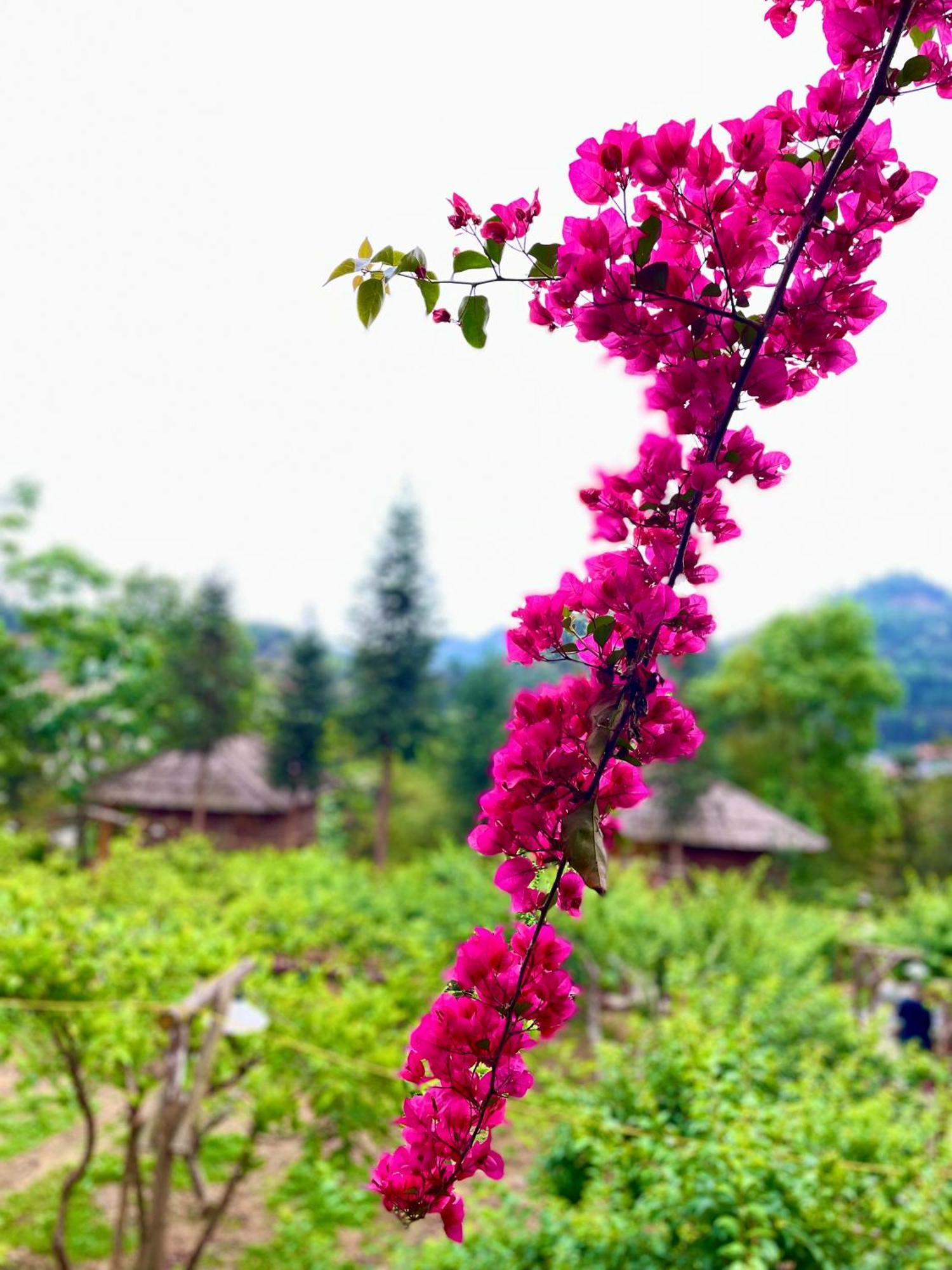 So H'Mong Homestay 北河县 外观 照片