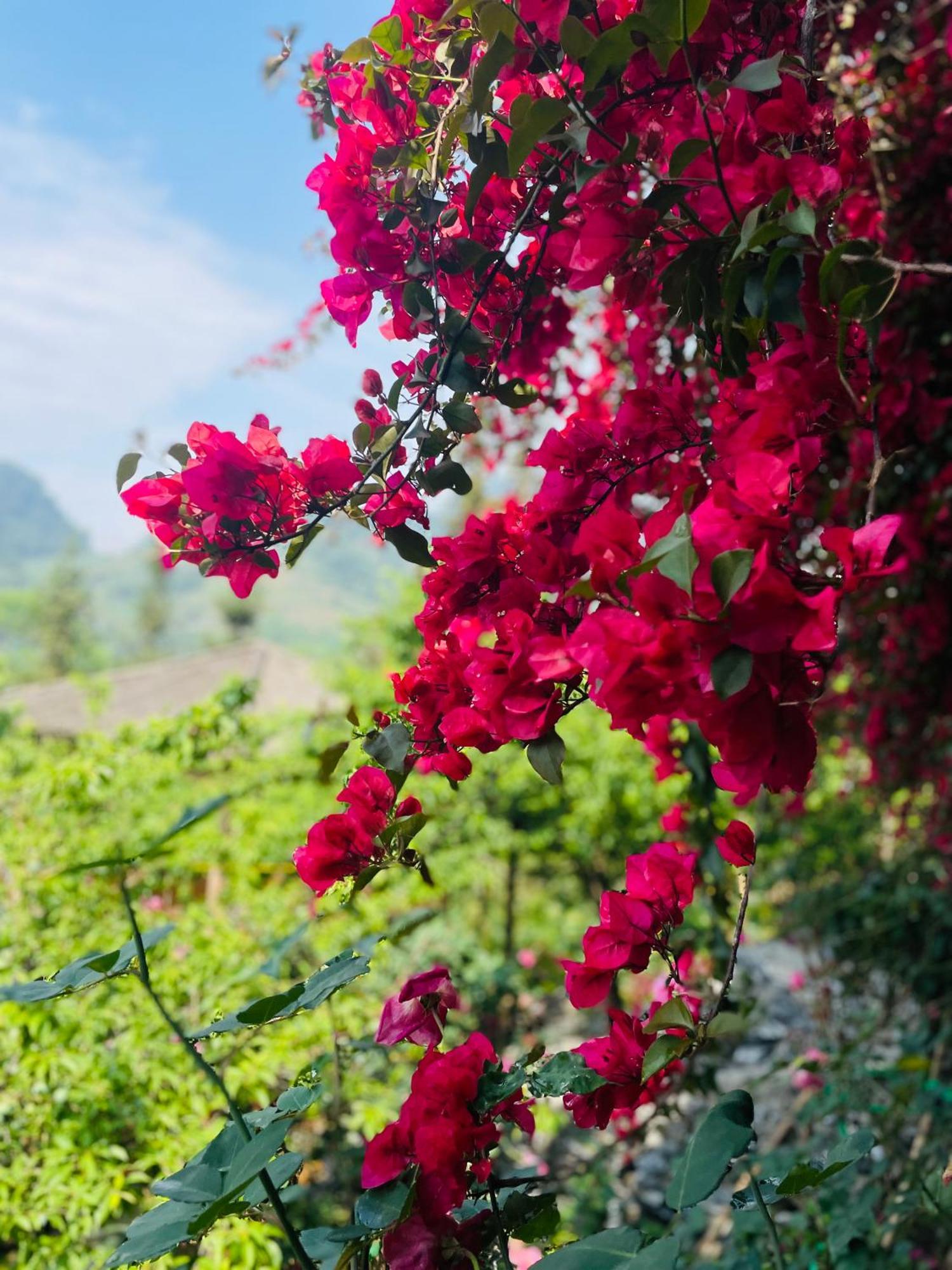 So H'Mong Homestay 北河县 外观 照片