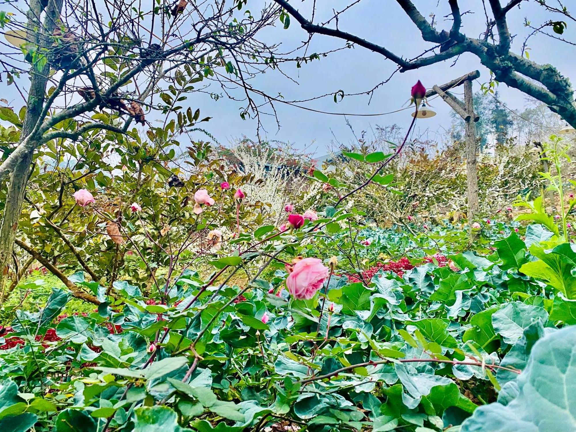 So H'Mong Homestay 北河县 外观 照片
