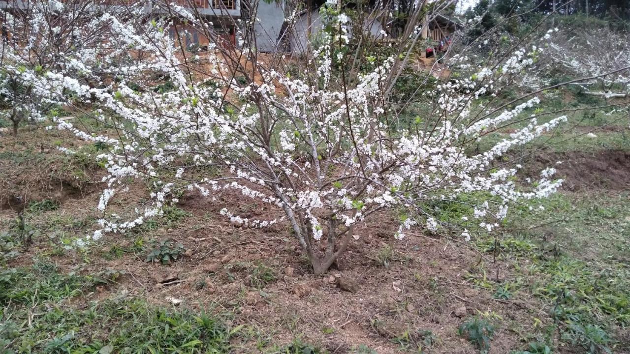 So H'Mong Homestay 北河县 外观 照片